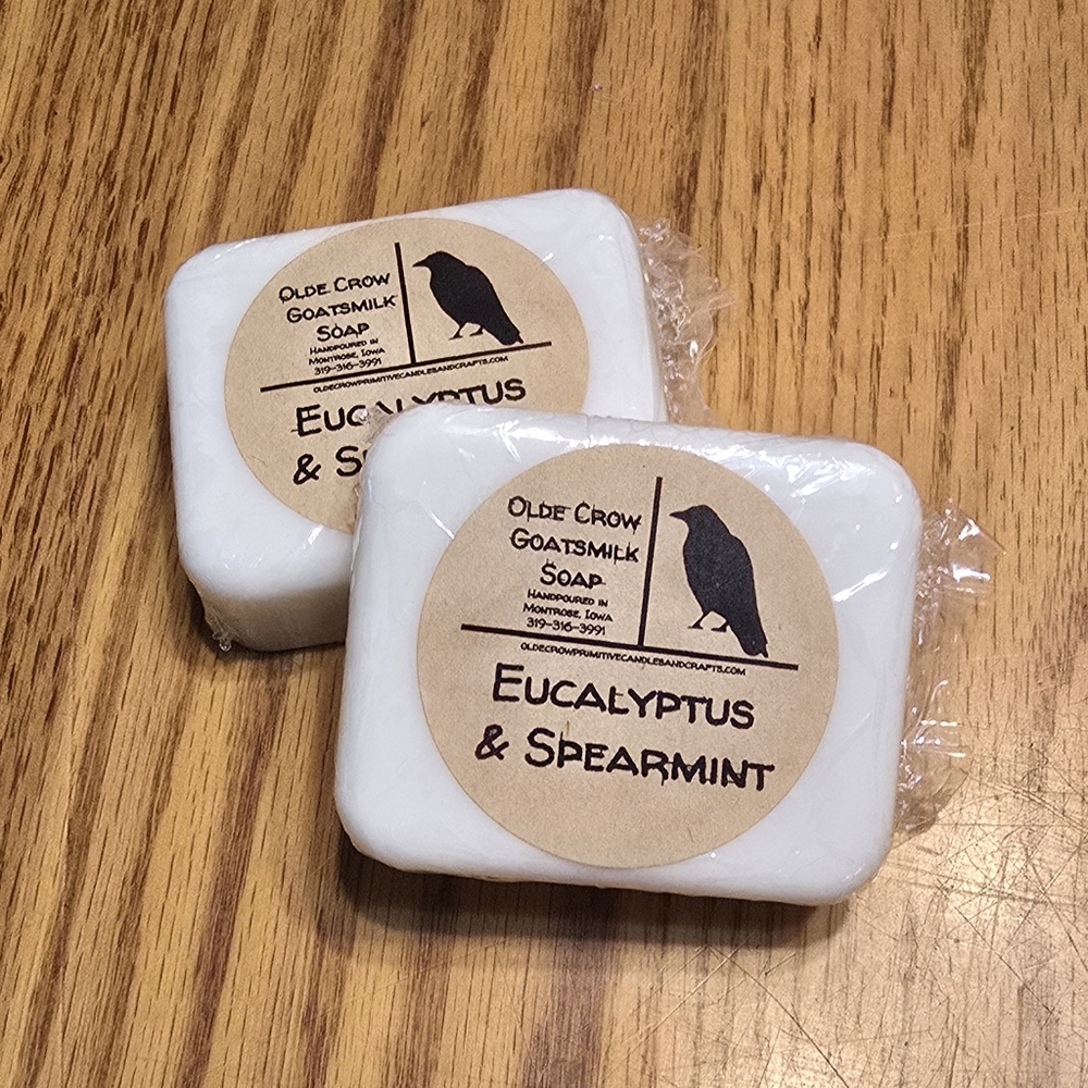 2pk. Eucalyptus And Spearmint goatsmilk soap